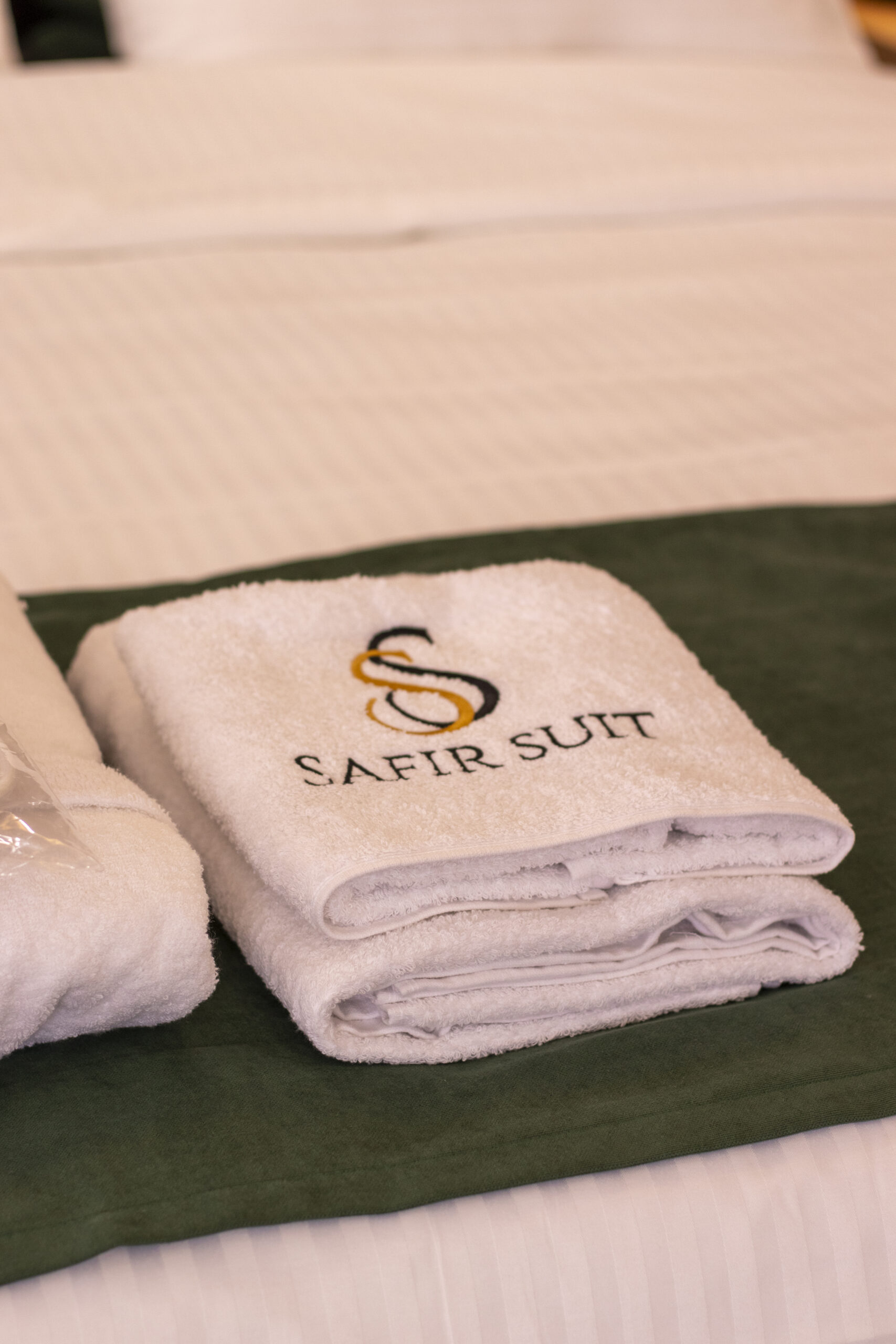Safir Suit Otel Nazilli Apart Otel Görseli 7