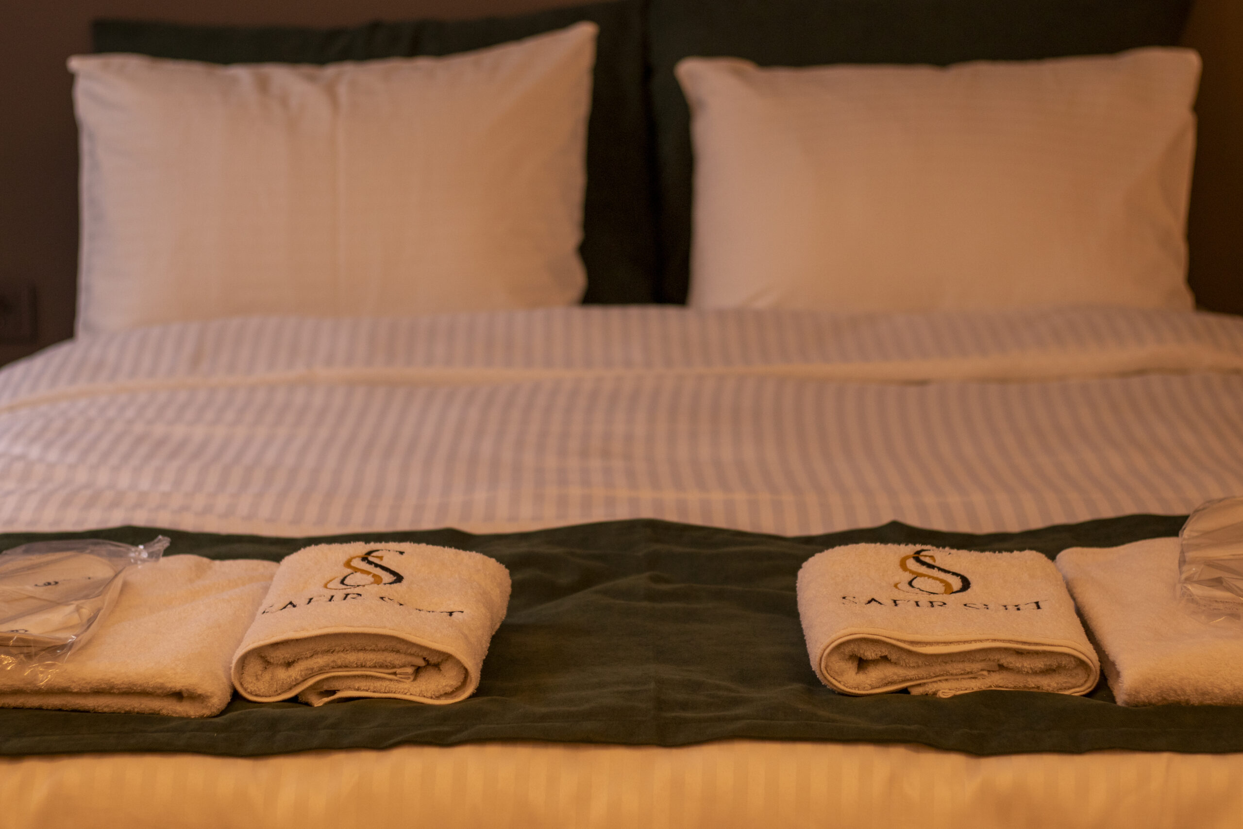 Safir Suit Otel Nazilli Konaklama Görseli 54